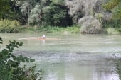 GR14 le long de la Marne